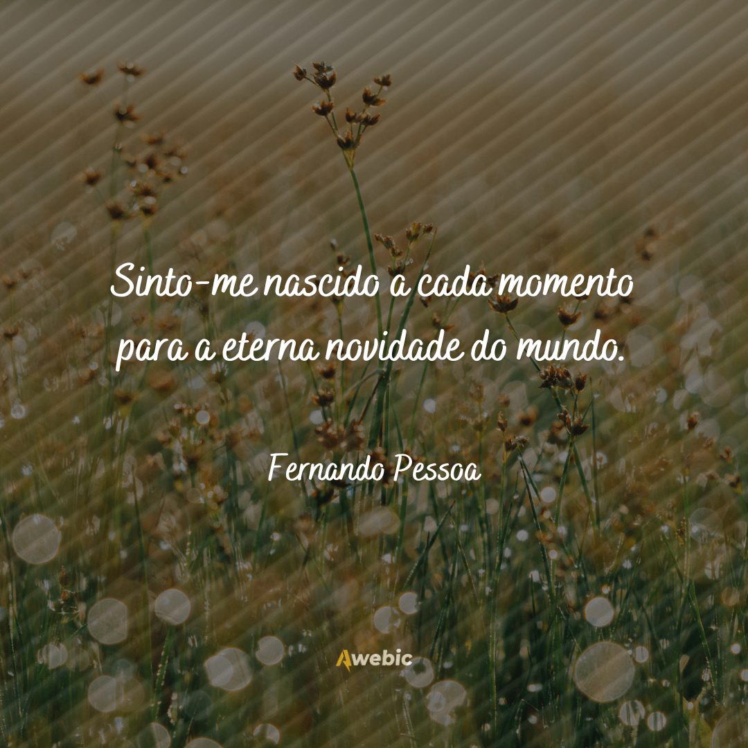 pensamentos-de-fernando-pessoa-sobre-a-vida