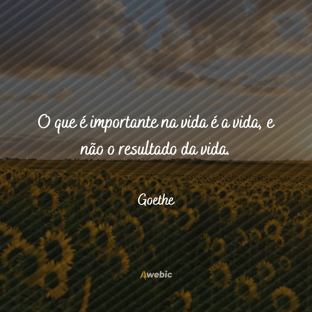 pensamentos de Goethe sobre a vida: se torne mais inteligente agora