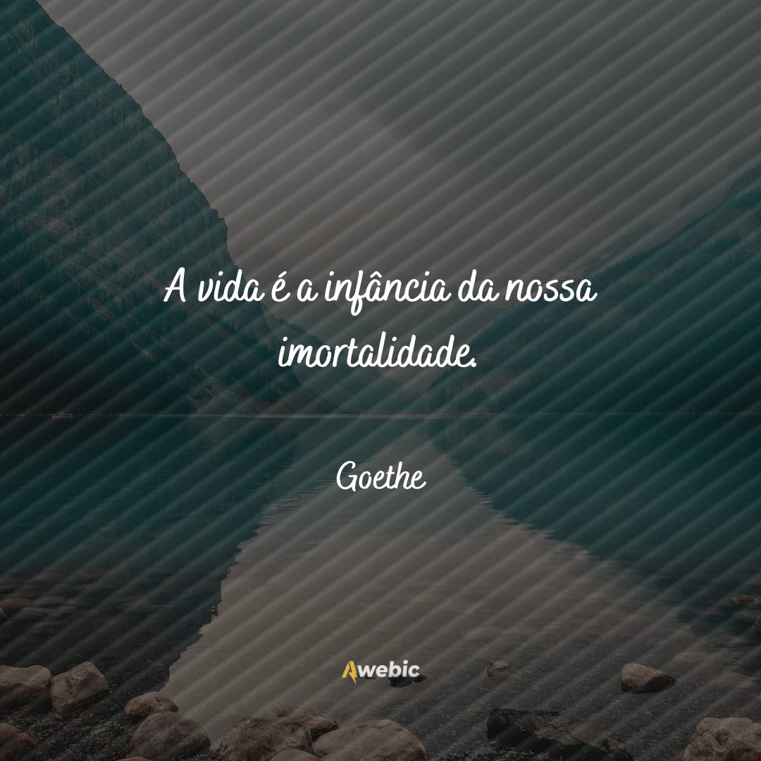 pensamentos de Goethe sobre a vida: se torne mais inteligente agora