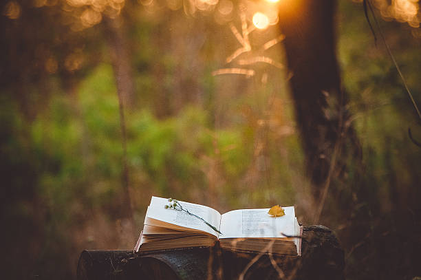 Poema sobre a natureza é a coisa mais linda que você vai ler