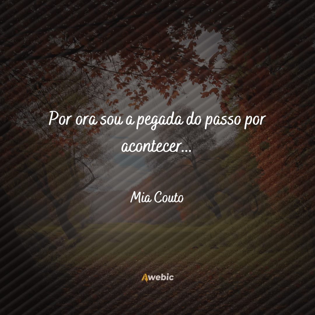 Frases de Mia Couto