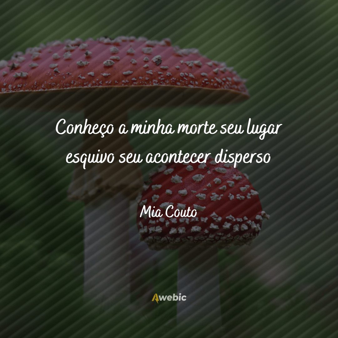 Frases de Mia Couto