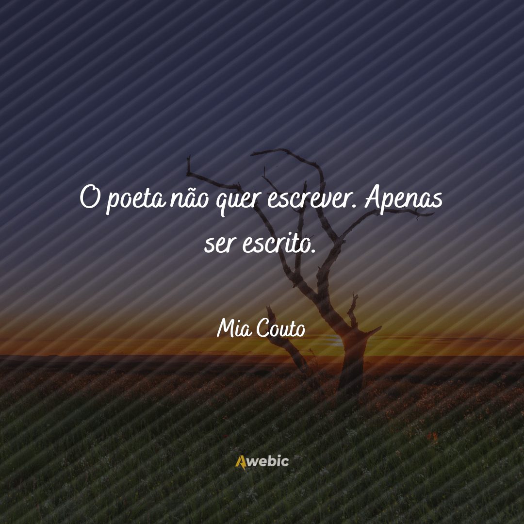 Frases de Mia Couto