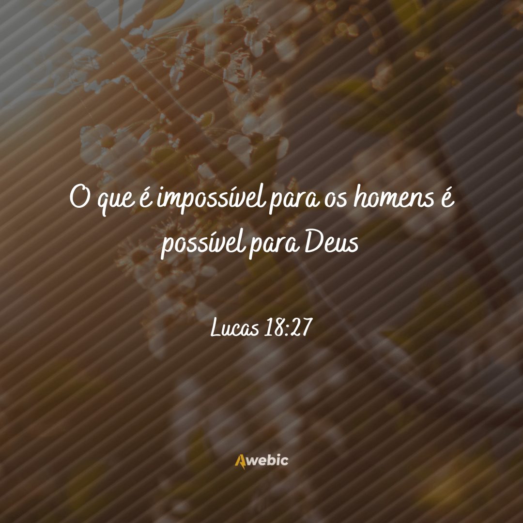 frases ditas por Jesus que você deve decorar e repetir todo dia