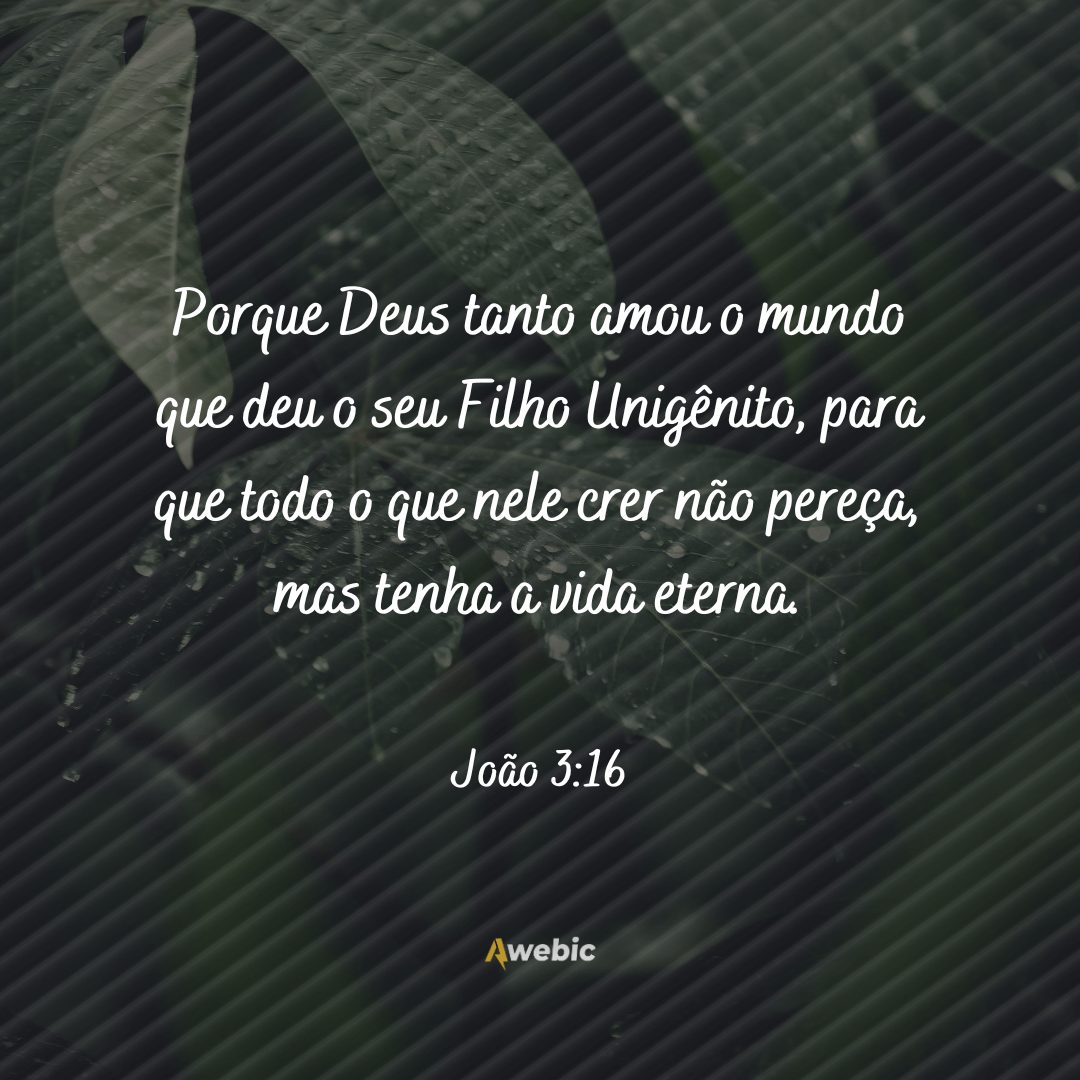 frases ditas por Jesus que você deve decorar e repetir todo dia