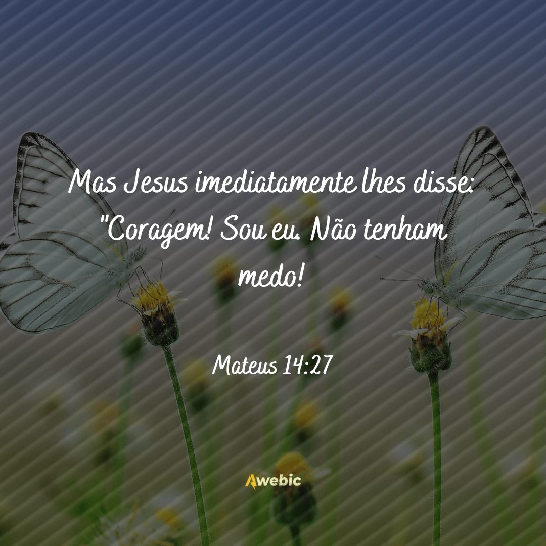 frases ditas por Jesus que você deve decorar e repetir todo dia