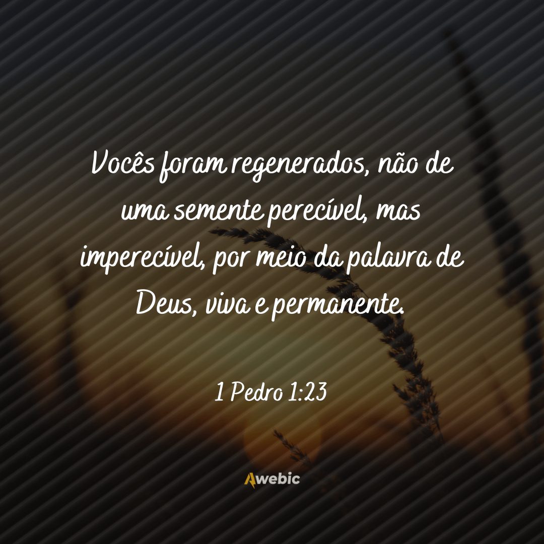 pensamentos de São Pedro para sua reflexão em junho