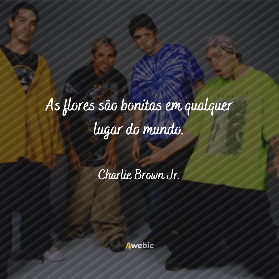 Trechos de música de Charlie Brown Jr. para usar como legendas em fotos