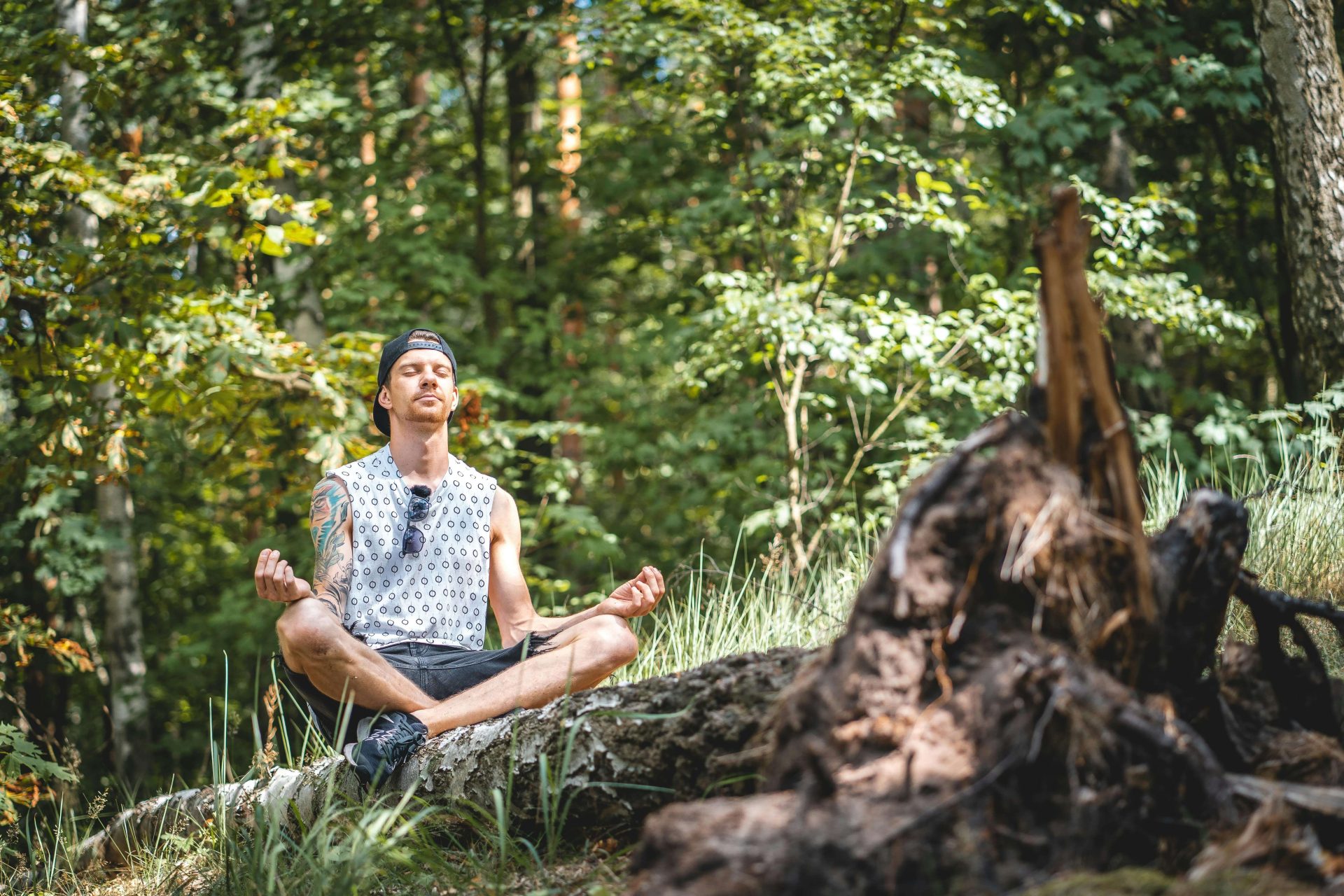 Conexão com a Natureza: Aumente sua Energia Espiritual