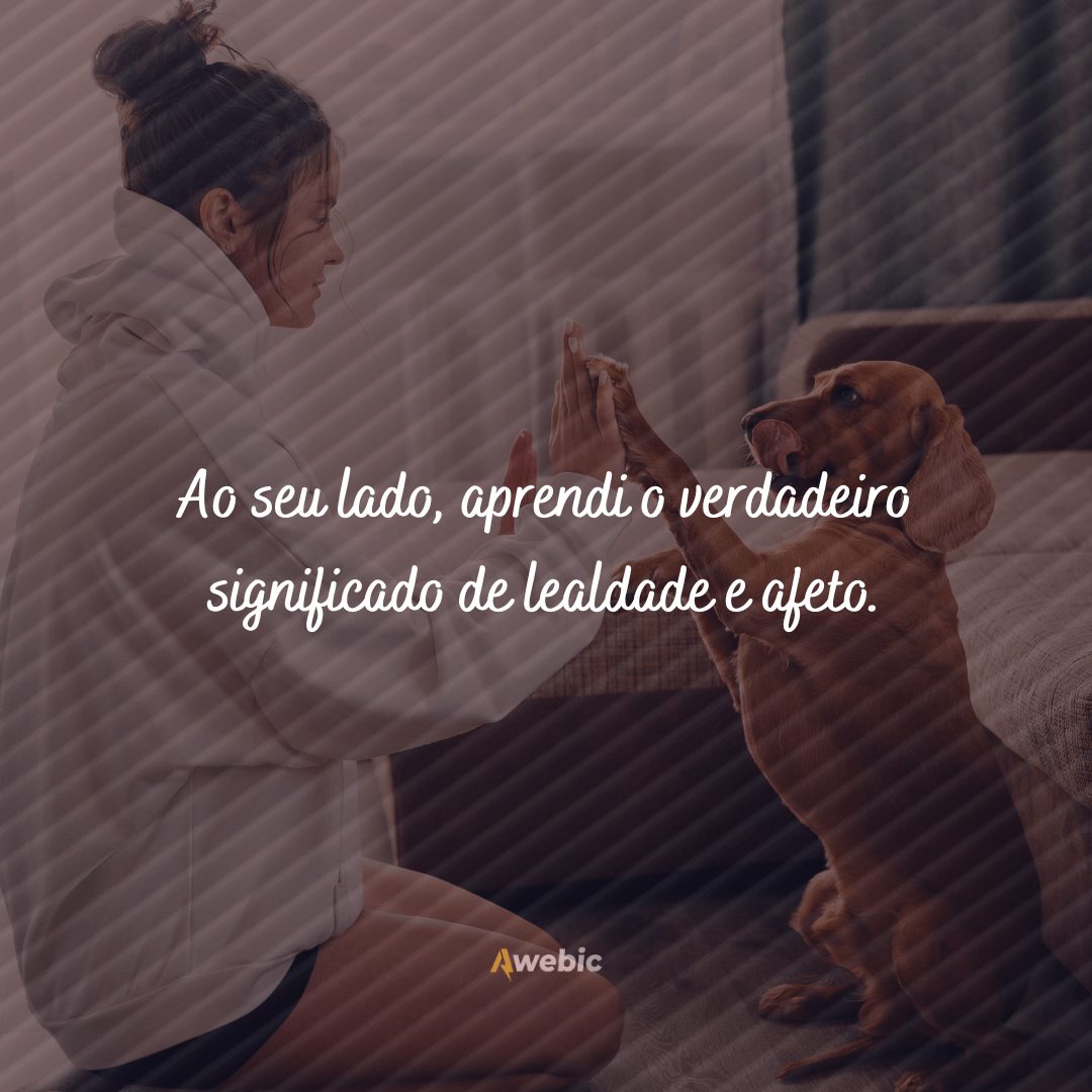 Frases de carinho para cachorro querido que você ama