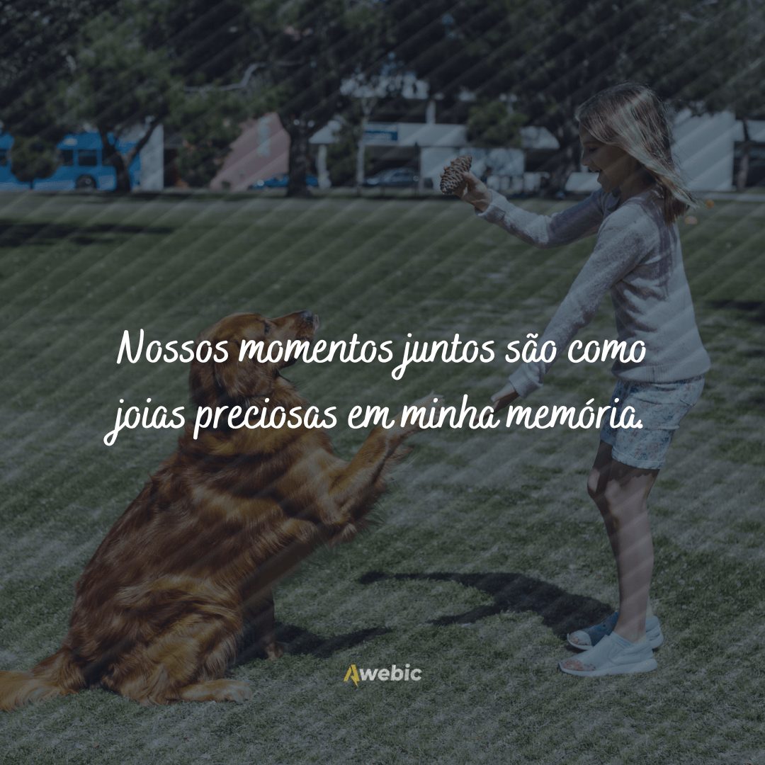 Frases de carinho para cachorro querido que você ama