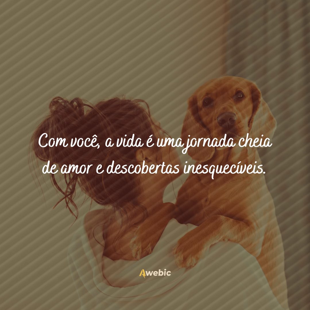 Frases de carinho para cachorro querido que você ama