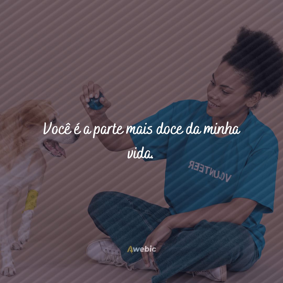 Frases de carinho para cachorro querido que você ama