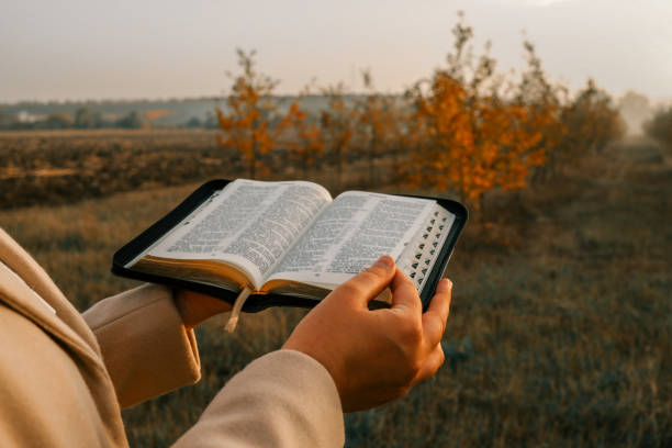 Ler João 12:47 é o que você precisa para hoje