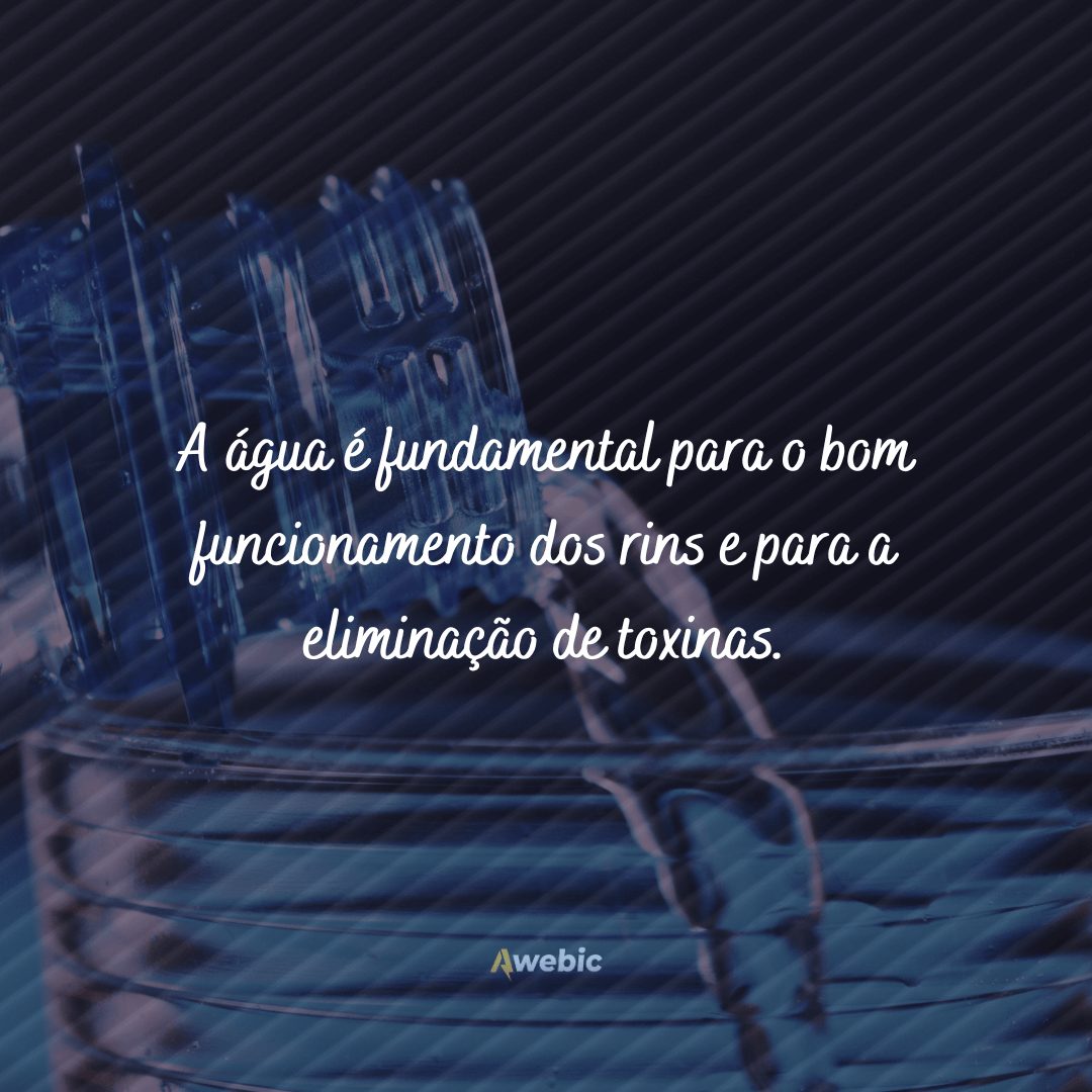 Legendas sobre beber água: compartilhe frases curtas e engraçadas