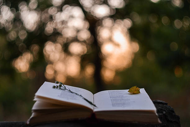 Poema de Orides Fontela é lindo e merece ser mais conhecido