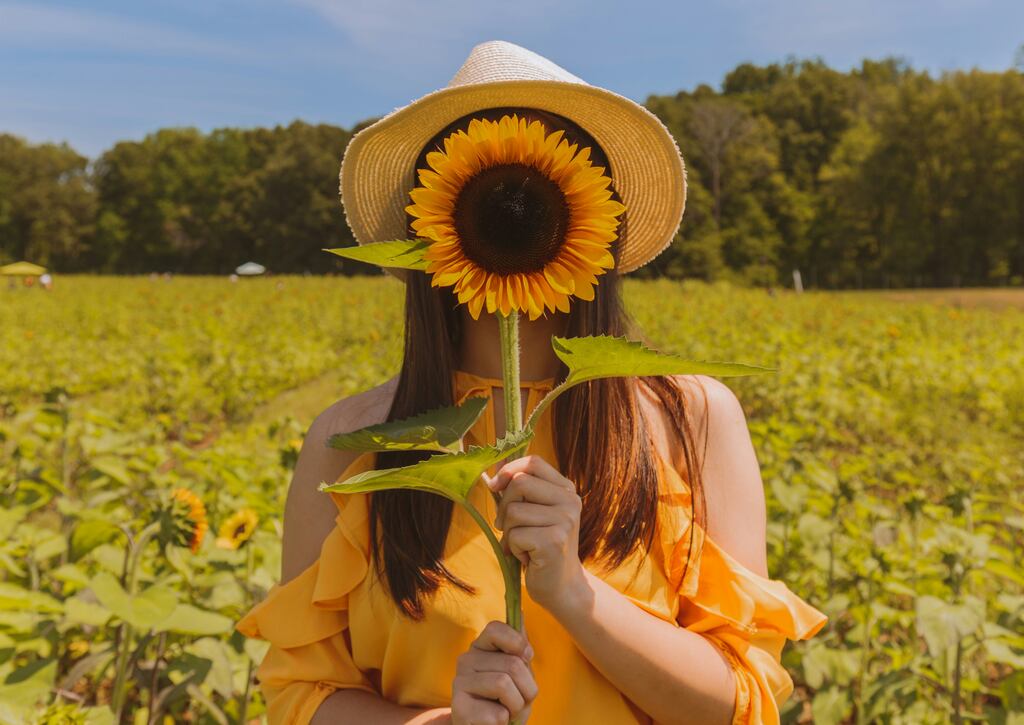 motivos-espirituais-cultivar-girassol-em-casa