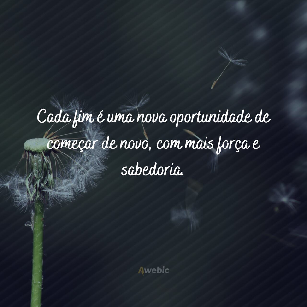 frases-para-recomecar